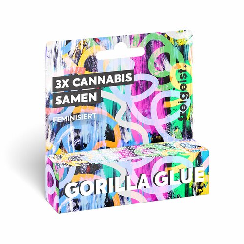 freigeist - Gorilla Glue Feminisiert - Cannabis Samen (3 Stück)